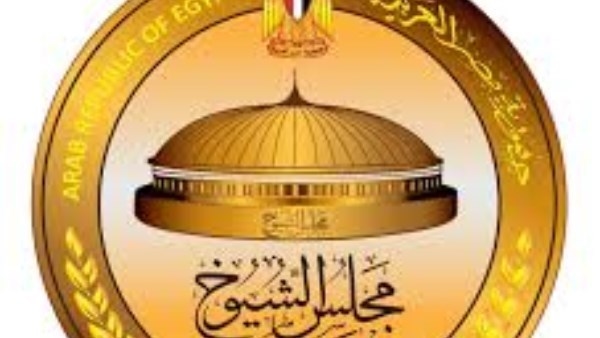 برلماني: الشائعات الهدامة أخطر من الحروب والدولة تواجهها بوعي جماعي