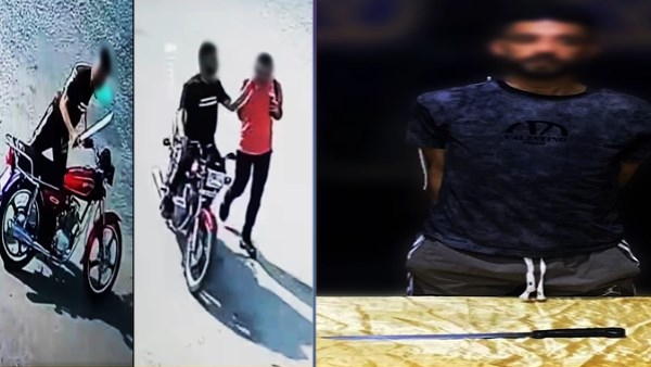 أمين الفتوى: التبليغ عن الجرائم حماية للمجتمع وليس "فضيحة"