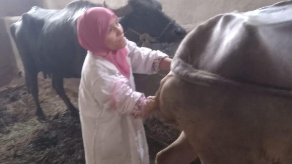 الطب البيطري بالجيزة تنظم حملات مكبرة لحماية الثروة الحيوانية وصحة المواطنين