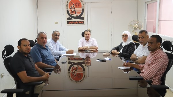 رئيس جامعة جنوب الوادي يناقش الحوكمة الإلكترونية للمشروعات الهندسية
