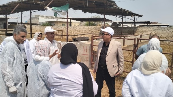 قصة نجاح.. كيف واجهت وزارة الزراعة العترة الجديدة لفيروس الحمي القلاعية؟