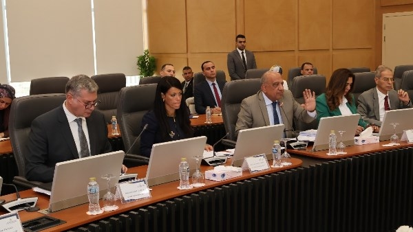 الأعلى للطاقة: توفير الكهرباء لـ 14 مشروعا صناعيا وخطوط إنتاج جديدة
