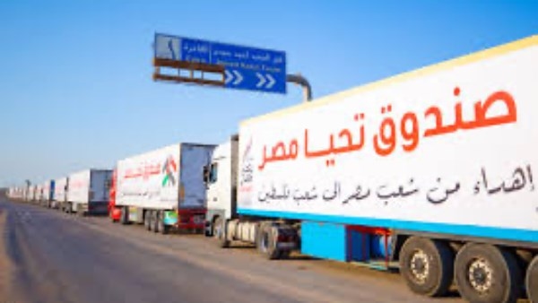 أستاذ سياسة: اتهام مصر بالتقصير يخدم أجندات إقليمية.. والقاهرة لن تنجر للتصعيد