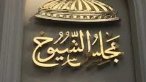 برلماني: بيان وزراء الخارجية العرب صفعة قوية للاحتلال وتأكيد على وحدة الصف لدعم فلسطين