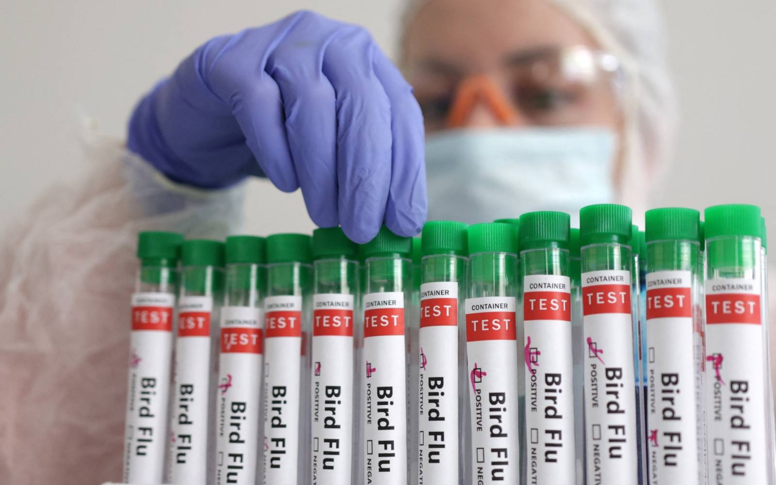 Cambodia reports fourth bird flu death this year