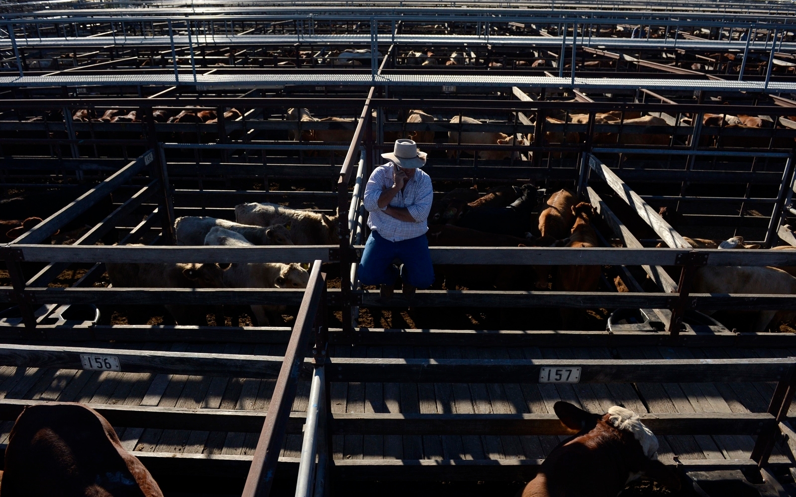 Australia relaxes curbs on US beef imports that angered Trump