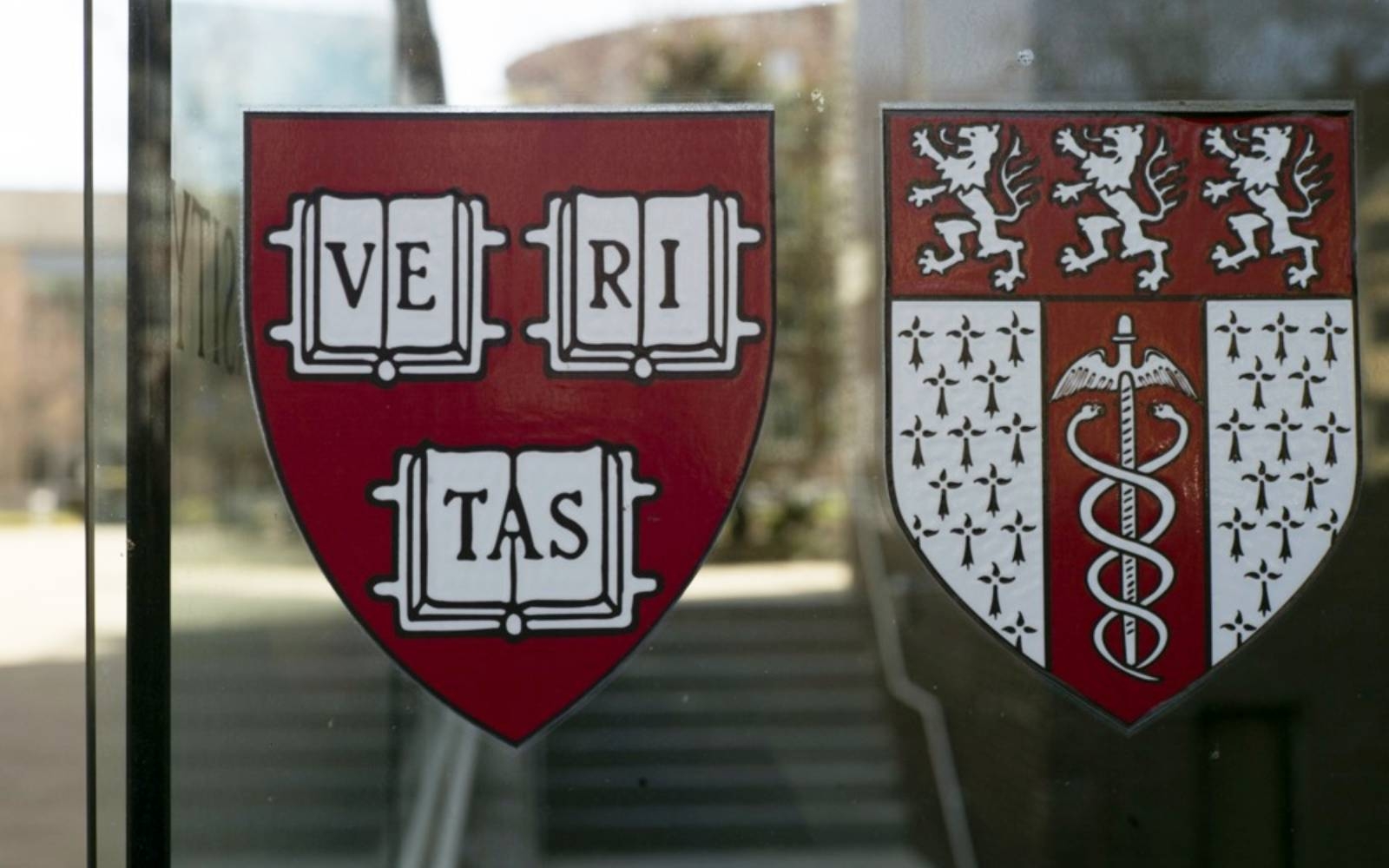 Defunding Harvard hurts America