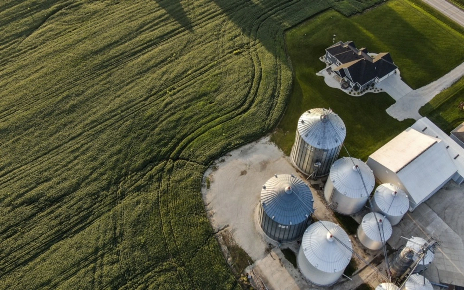 US soybean exports may fall 20% without China trade deal