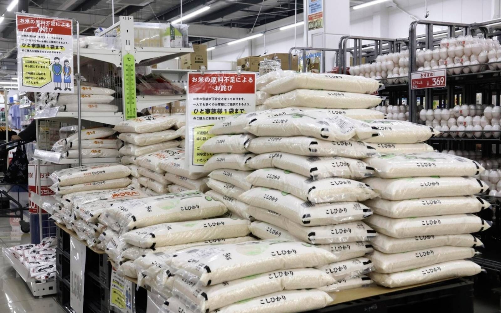 Rice prices Japan's hot political issue, on and off the farm