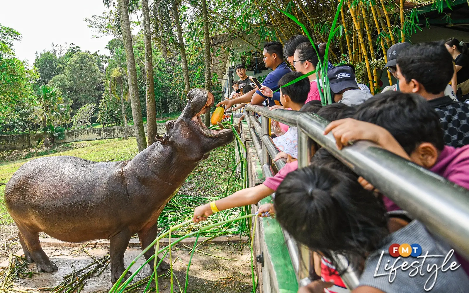 A roaring good time at GL Play's ‘Rimba Safari'