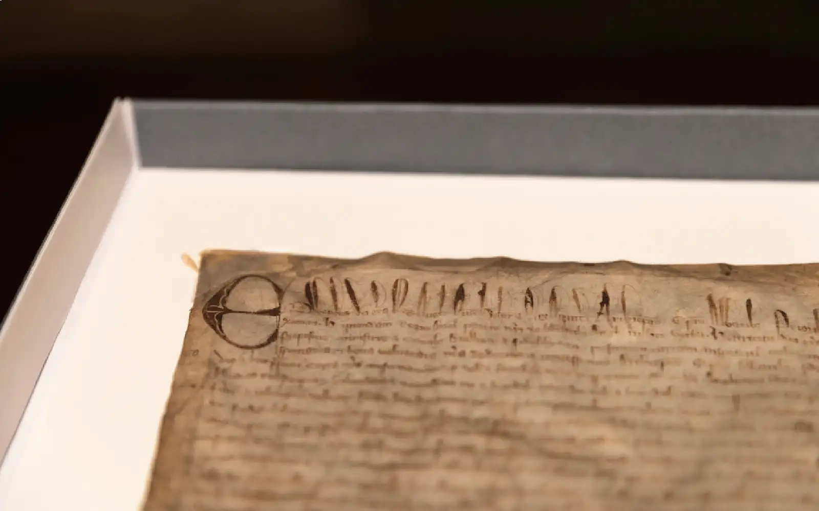 Harvard's ‘copy' of Magna Carta turns out to be rare original
