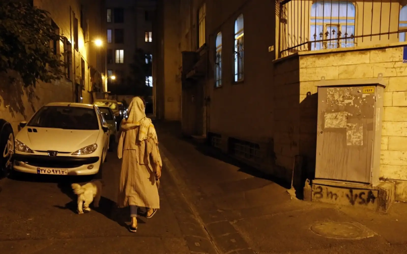 Authorities expand dog walking ban in Iran