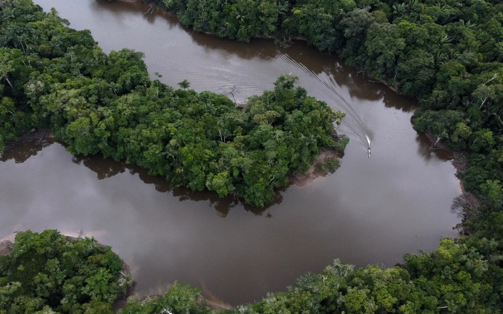 Environmental activist shot dead in Peruvian Amazon
