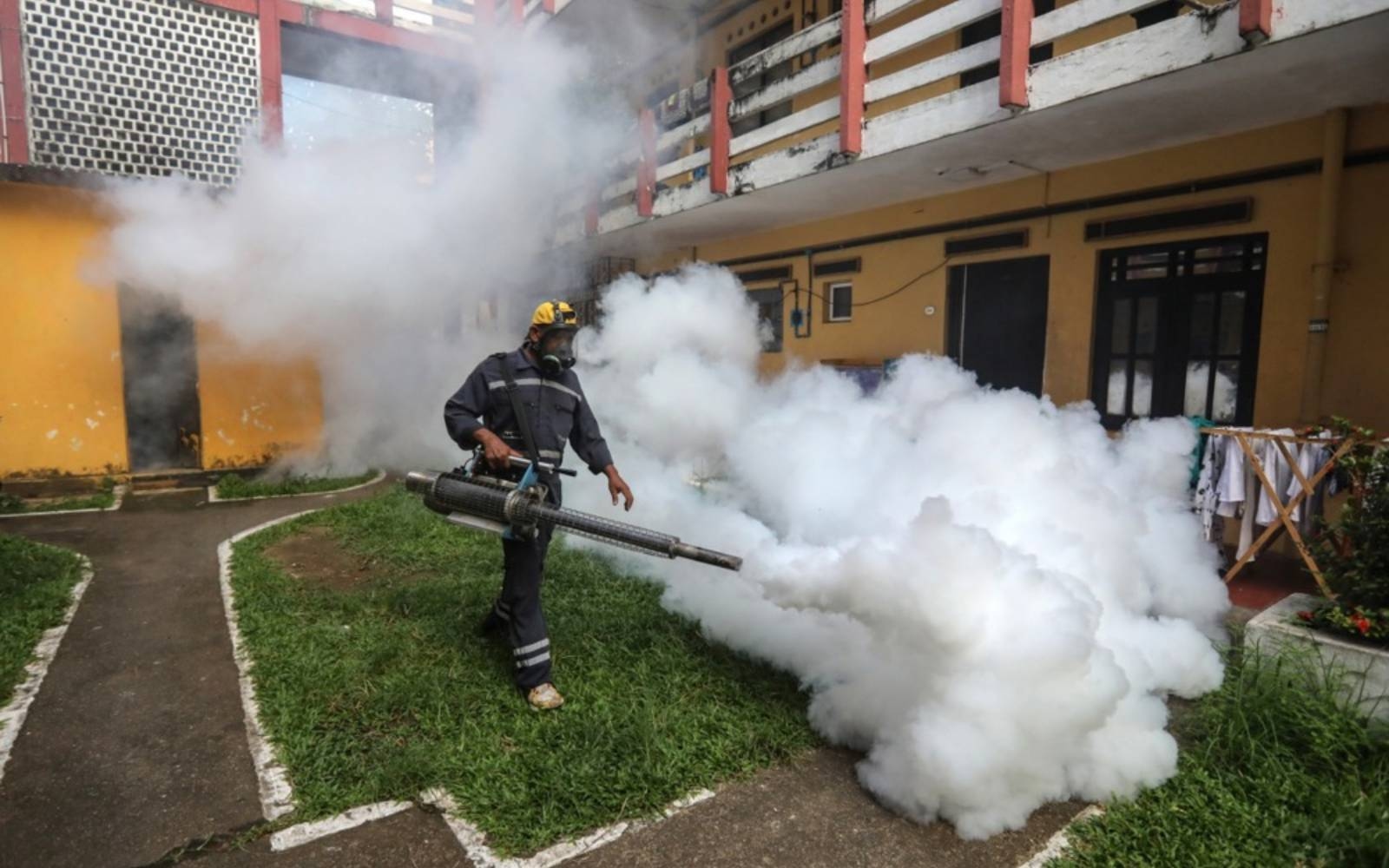 WHO sounds alarm on risk of chikungunya epidemic