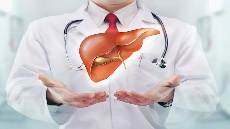 مخاطر تصل لـ الوفاة.. احذر 5 علامات تكشف بداية تلف الكبد