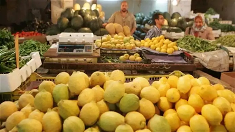 انخفاض كبير في أسعار الليمون بالأسواق.. فما الأسباب؟