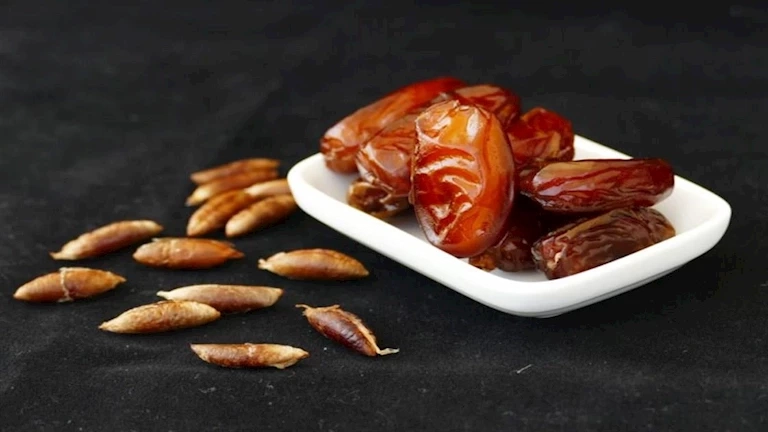 تقوي القلب وتخفض الضغط.. إليك فوائد نواة التمر في رمضان