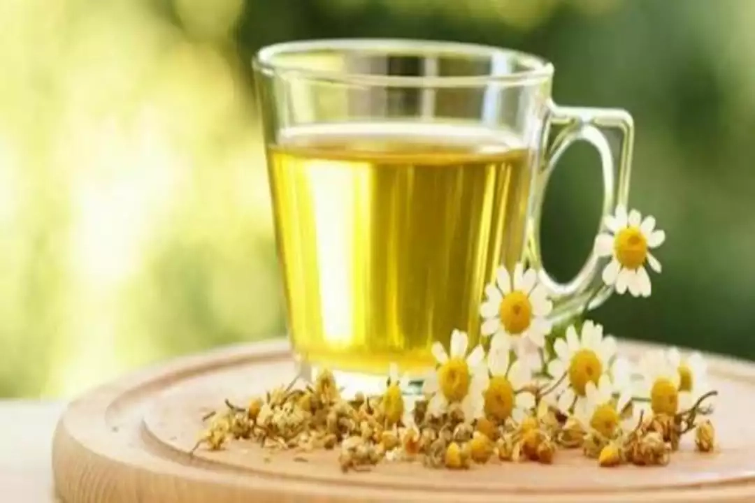 5 فوائد لتناول كوب من هذا المشروب العشبي يوميا