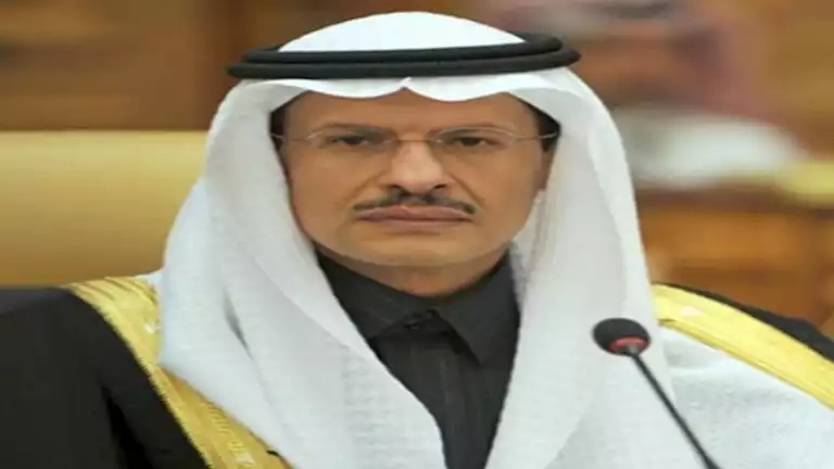 وزير الطاقة السعودي: سيتم إقامة أكبر مشروع لطاقة الرياح في مصر
