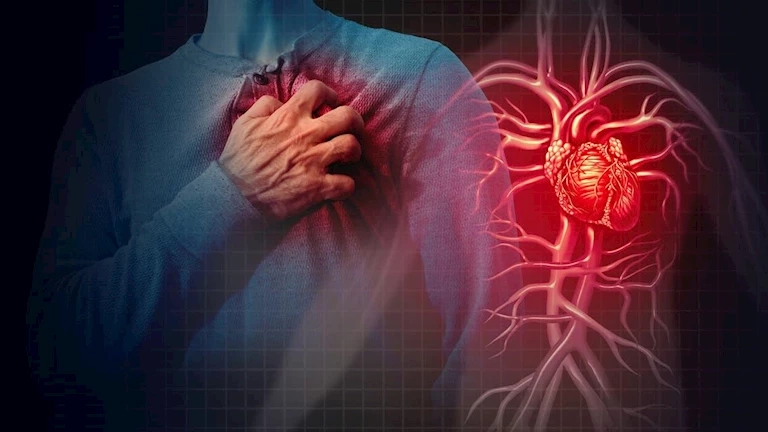 سبب وفاة سليمان عيد.. علامات تدل على الإصابة بالسكتة القلبية