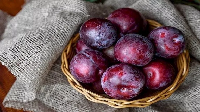 احرص عليه.. البرقوق كنز غذائي و له 5 فوائد مذهلة