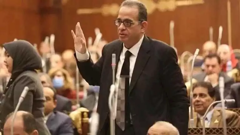 نائب وفدي: نريد شركات قطاع أعمال تقود قاطرة الاقتصاد الوطني لا الشركات الخاسرة