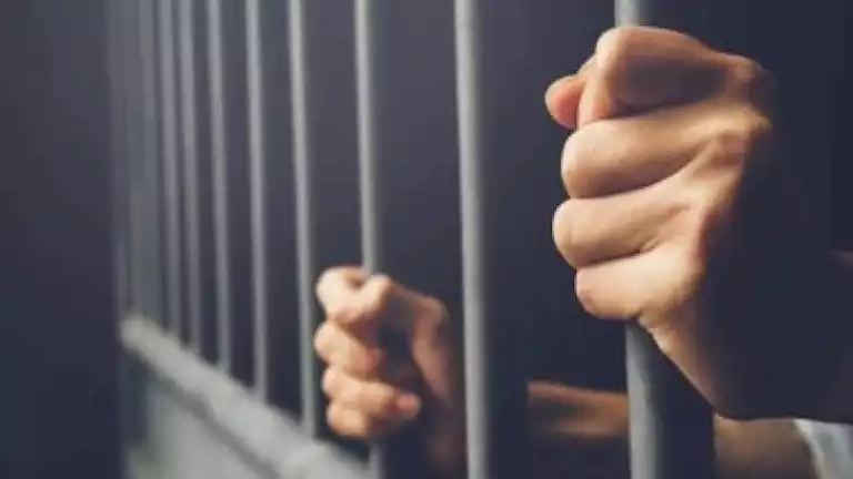 إخلاء سبيل مستريح الذهب بكفالة 10 آلاف