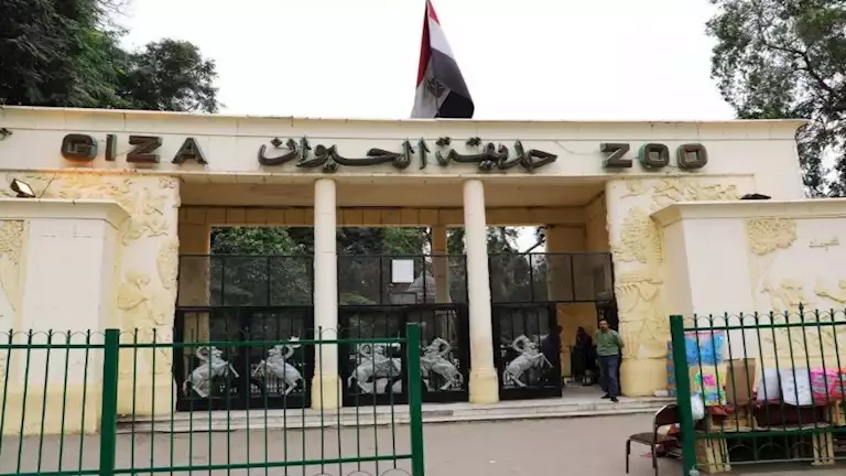 أول صور من داخل حديقة الحيوان بالجيزة أثناء التطوير.. والافتتاح سبتمبر المقبل