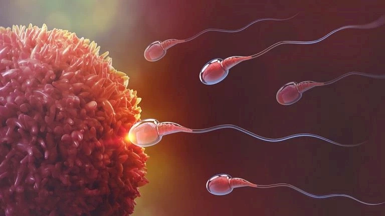 دون آثار جانبية خطيرة.. "آدم" وسيلة منع حمل ذكورية فعالة