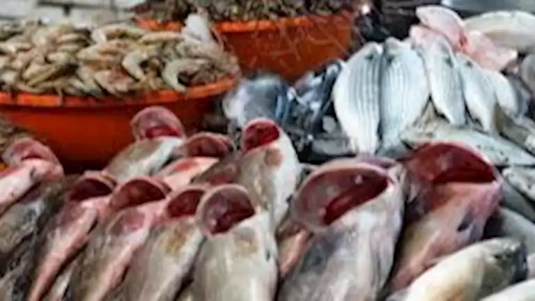 أسعار الأسماك والمأكولات البحرية في سوق العبور اليوم 21-5-2025