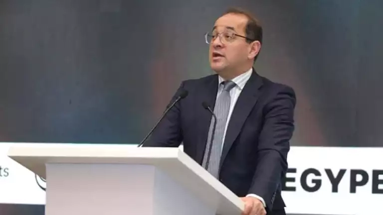 وزير المالية: الوضع الاقتصادي لمصر أصبح أفضل وسيتحسن خلال السنوات الأربعة المقبلة
