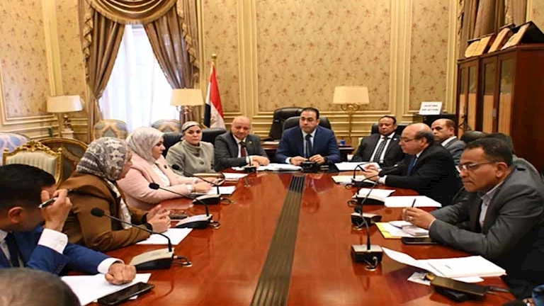 "رياضة النواب" تناقش استخدام الجينات الوراثية في تحديد الألعاب المناسبة للشباب