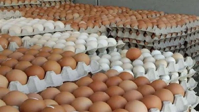 بسبب بكتيريا السالمونيلا.. سحب 1.7 مليون بيضة من الأسواق الأمريكية