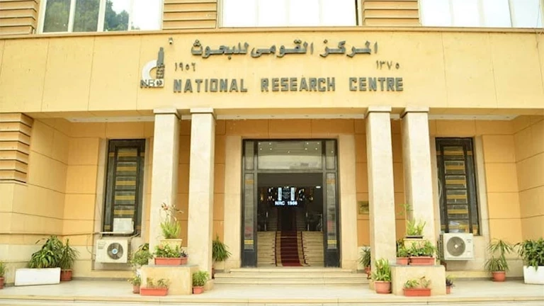 أطعمة وفيتامينات تحد من التدهور العقلي والمعرفي لطلاب الثانوية العامة