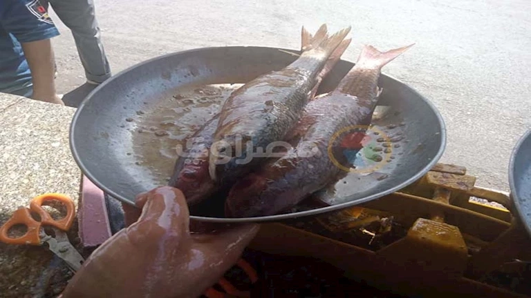 شعبة الأسماك: زيادة كبيرة في أسعار الفسيخ والرنجة تزامنا مع "شم النسيم"
