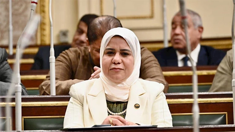 تعرف على إجراءات تصعيد بديل النائبة الراحلة رقية الهلالي عضو مجلس النواب