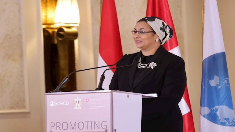 رئيسة "القومي للمرأة" تلتقي رئيسة قسم الشراكات العالمية والادماج والعدالة