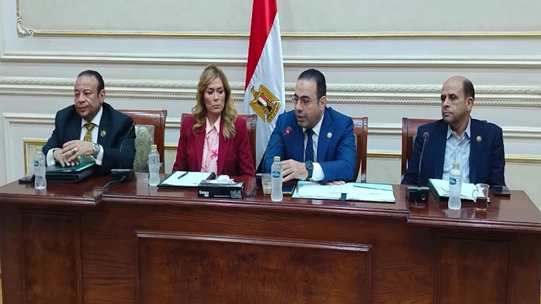 "شباب النواب" توافق على الموازنة الجديدة للأكاديمية الوطنية للتدريب