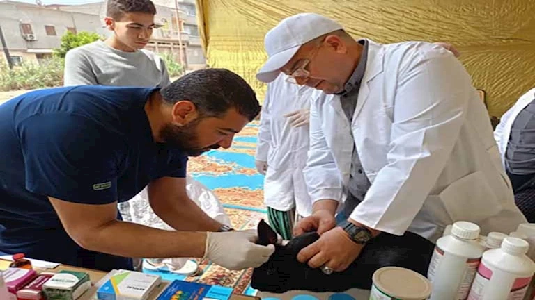 إطلاق 9 قوافل بيطرية علاجية مجانية في 5 محافظات -تفاصيل