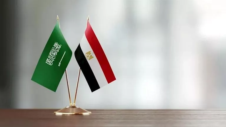 لماذا حذر موسى وبكري من محاولات وقيعة بين السعودية ومصر؟- تحليل (صور)