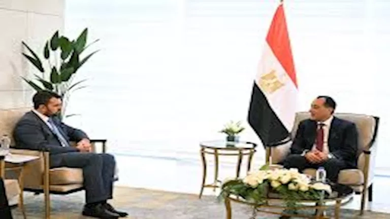 مدبولي يلتقي وفد جامعة أكسفورد لاستعراض طرق علاج الأورام