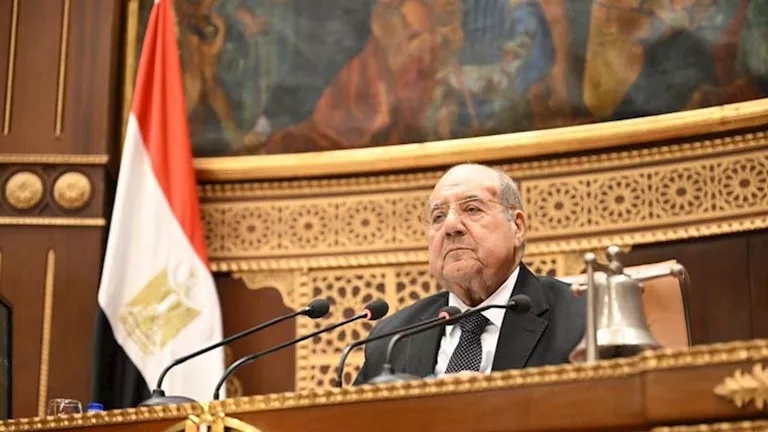 رئيس "الشيوخ": الرئيس السيسي قاد سفينة الوطن وسط أمواج عاتية بثبات وحكمة