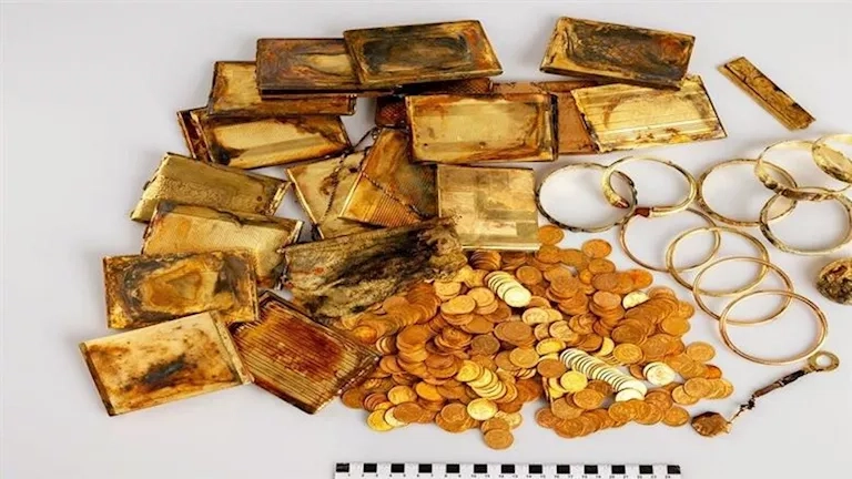 كنز الغابة.. سياح يعثرون على 600 قطعة مجوهرات بالصدفة
