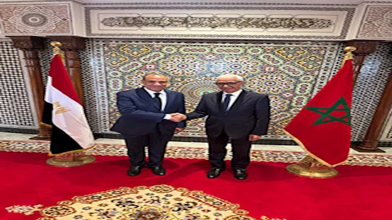وزير الخارجية يجتمع برئيس مجلس النواب المغربي