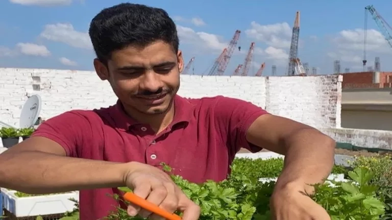 خبير زراعي: الدولة تبذل جهودًا حثيثة لدعم القطاع وتعزيز مكانة الفلاح