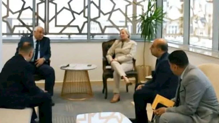 الوادي الجديد تحول مخلفات النخيل لفرص اقتصادية بـ70 مليون يورو