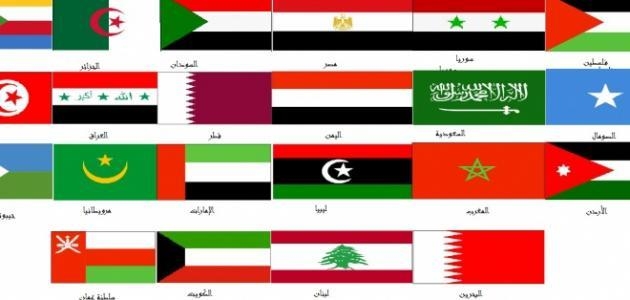 Arab states decry Israel's strikes on Iran as threat to stability