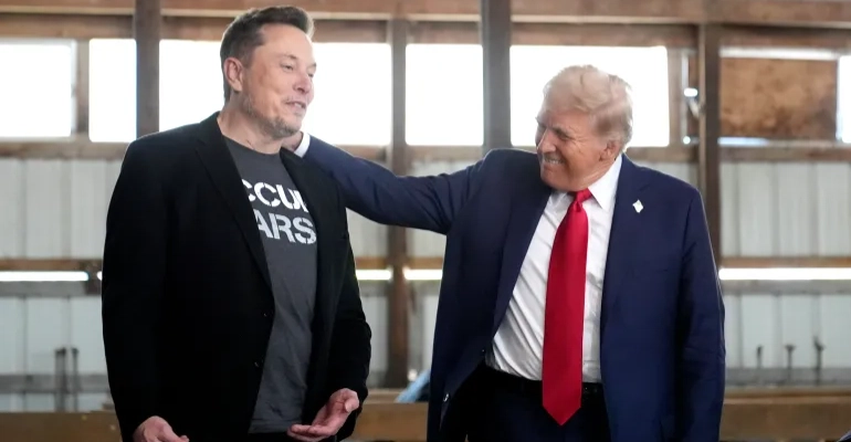 Efficiency or overreach? Musk's new government post