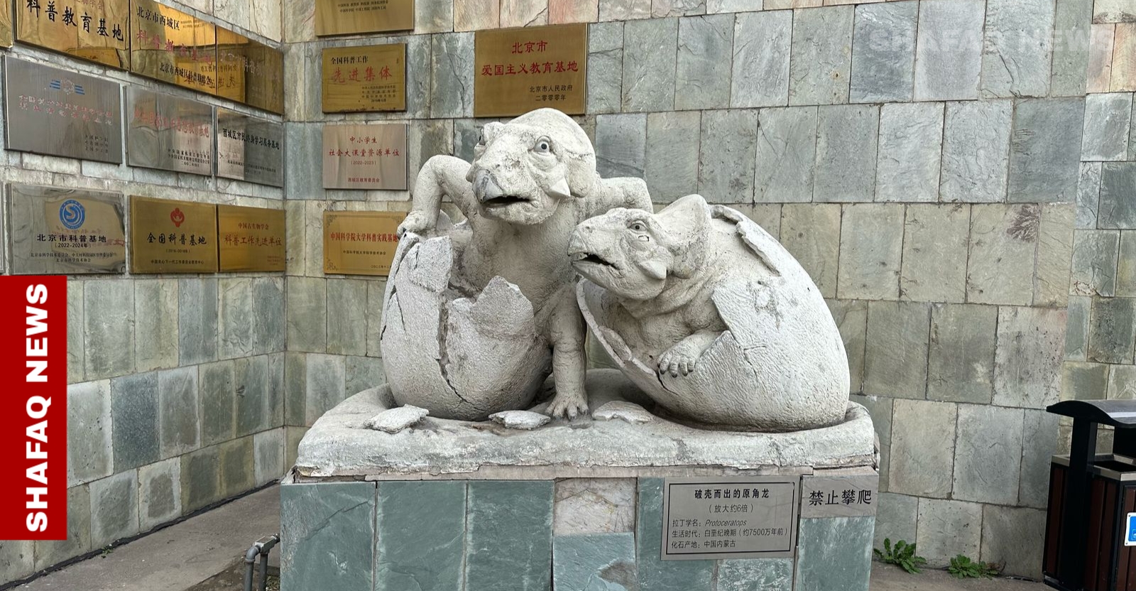 Shafaq News explores Asia's largest Dinosaur Museum in Beijing