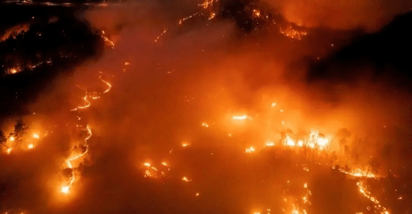 Deadly wildfires in South Korea claim 24 lives